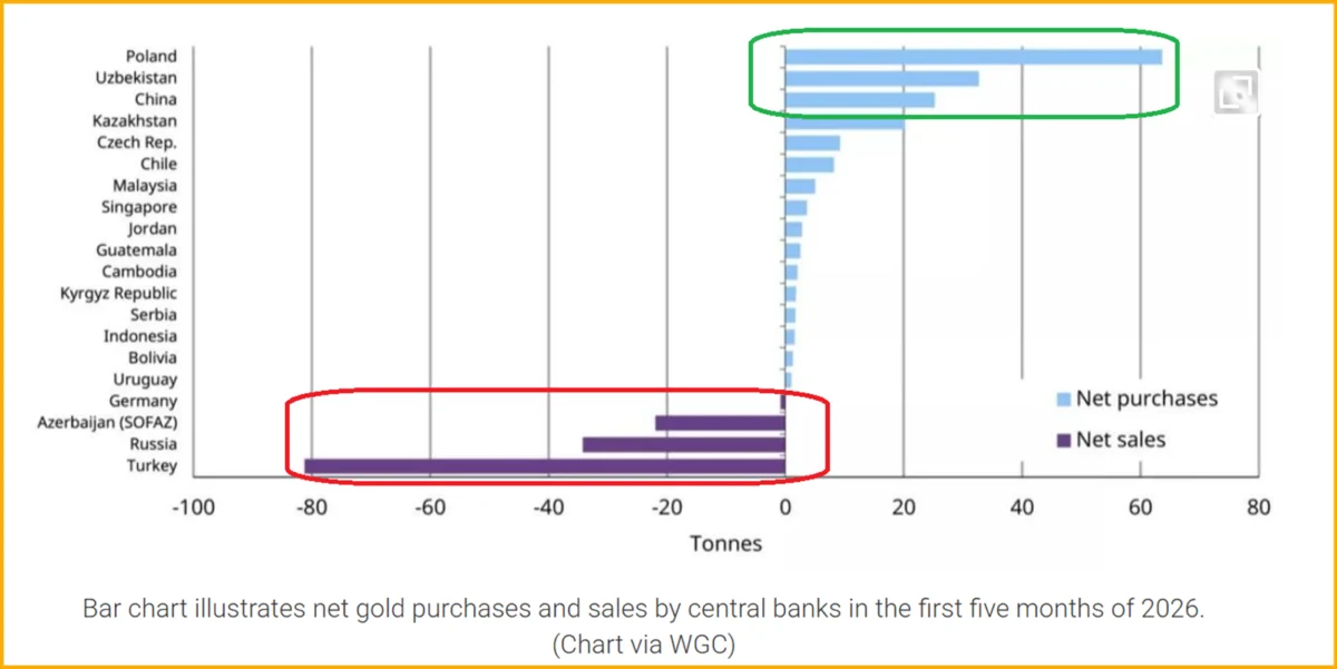 The Gold Standard Resilience: Navigating Market Volatility in a Fiat-Dominated Era