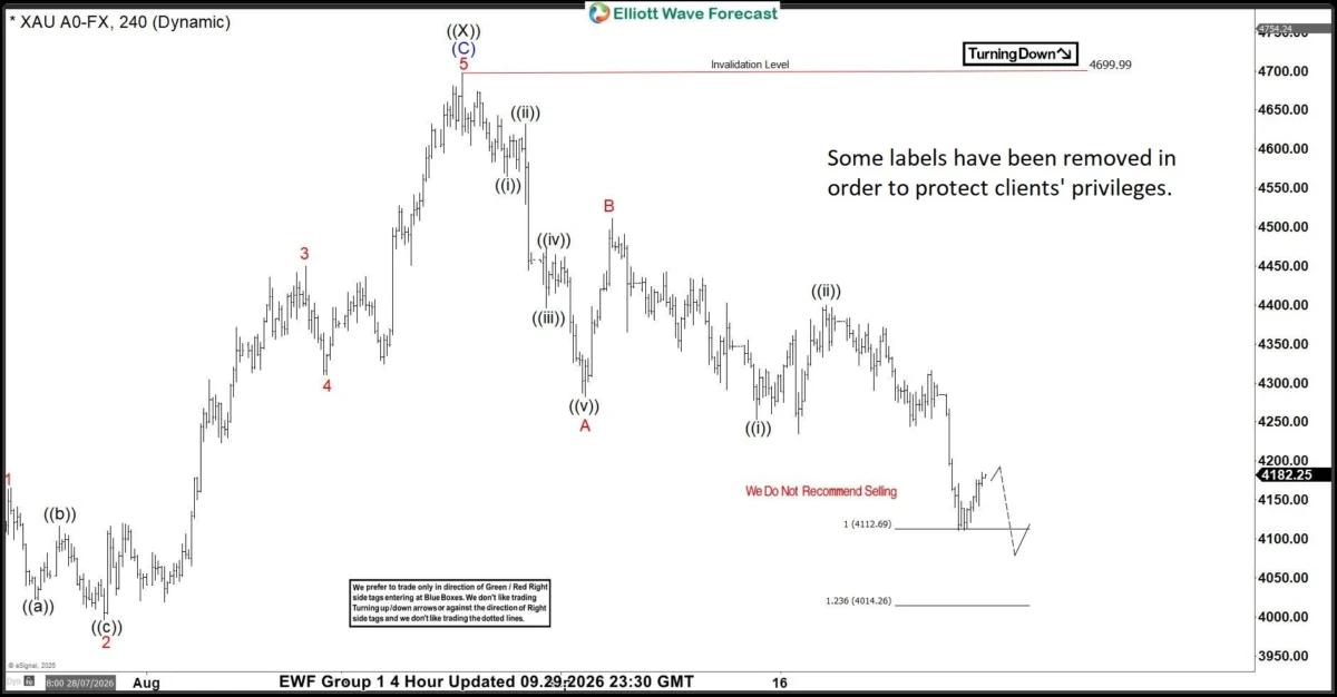 Gold Price Analysis: Navigating the XAUUSD Correction Through Advanced Elliott Wave Theory